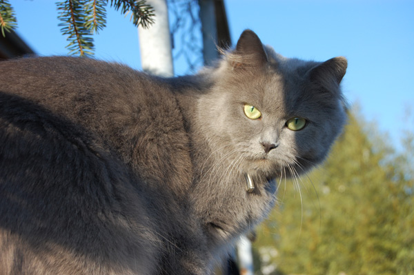 und genießt die Sonne.jpg